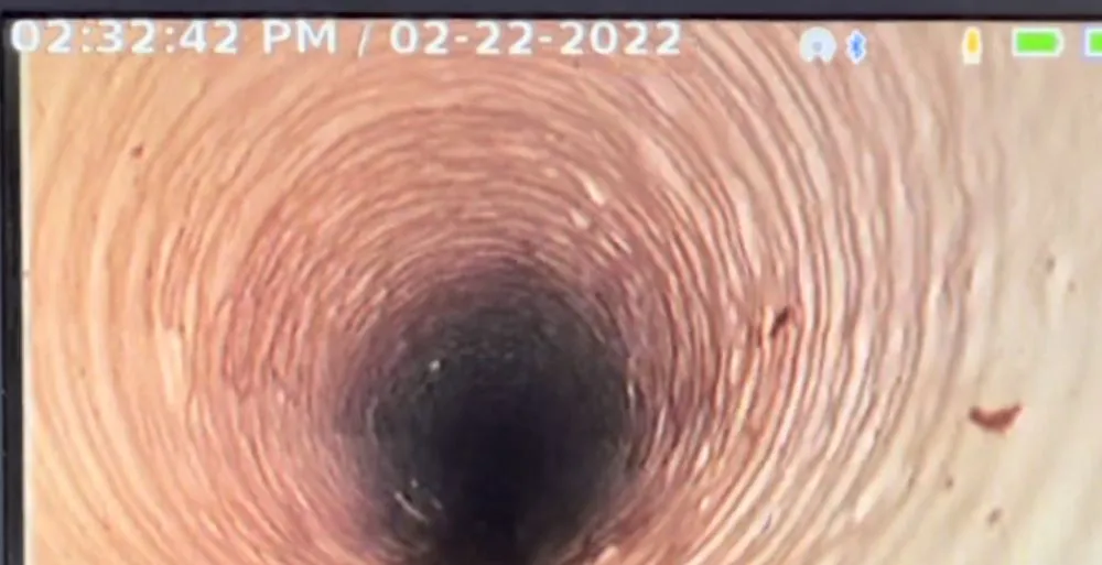 Slide of Ninja Plumber