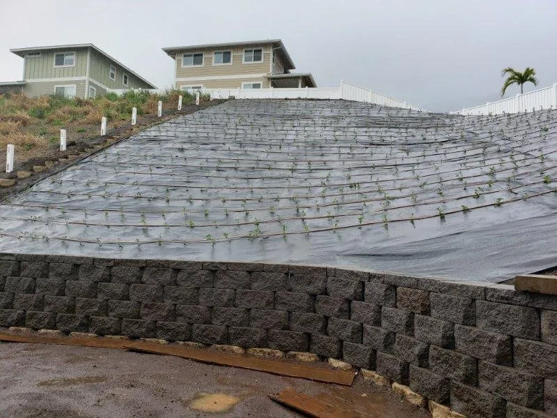 Expert drain cleaning for homes in Maui, HI by Niu Warrior Construction