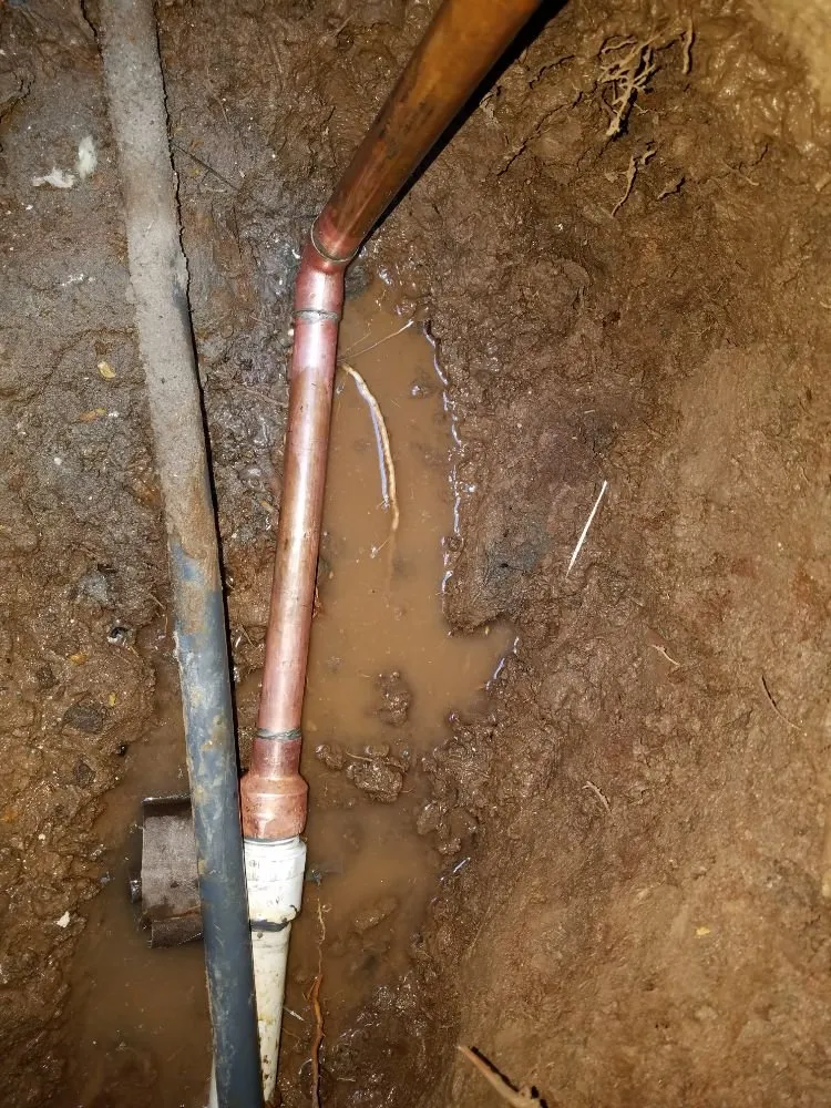 Slide of NLB Plumbing