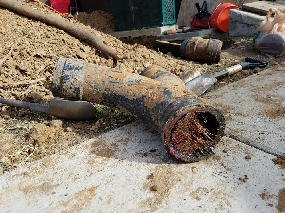 Slide of NLB Plumbing