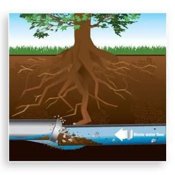 Slide of Nm Plumbing & Backflow