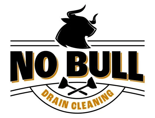 No Bull Drain Cleaning