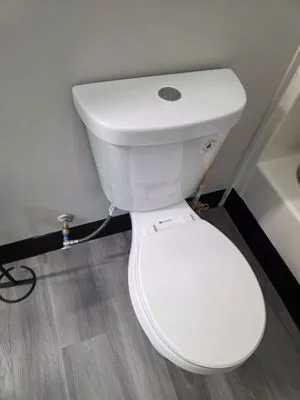 No Monkey Business - Springfield