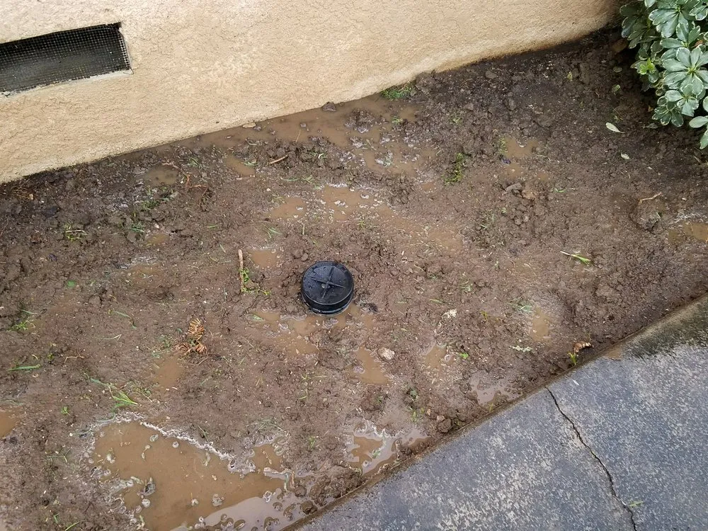 Slide of No Problem Plumbing & Rooter