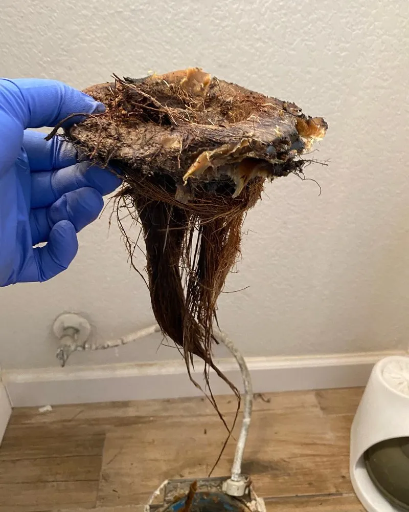 Slide of No Worries Rooter