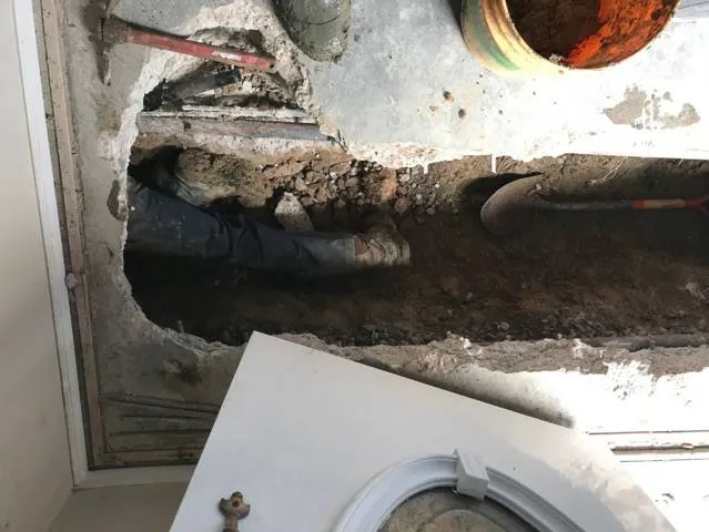 Slide of Noah's Ark Plumbing