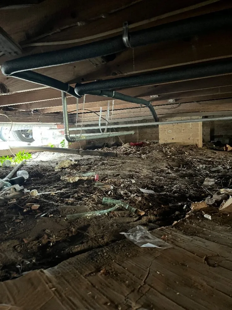 Slide of NOLA Flow Plumbing