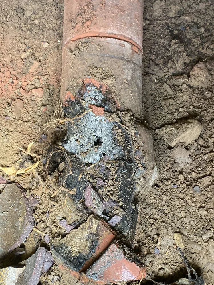 Affordable drain cleaning experts serving Highland park, CA - Non Stop Plumbing & Rooter