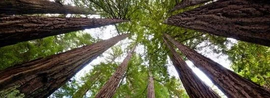 Slide of Nor Cal Mechanical