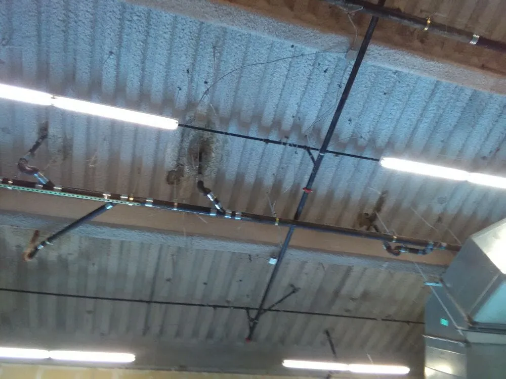 Reliable drain cleaning experts serving Daly City, CA - Nor-Cal Plumbing