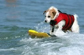 Slide of Nor Cal Pro Handyman-Builders