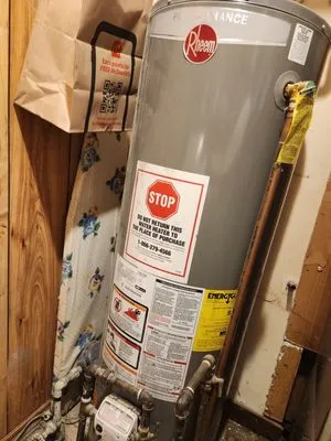 Norbert the Handyman