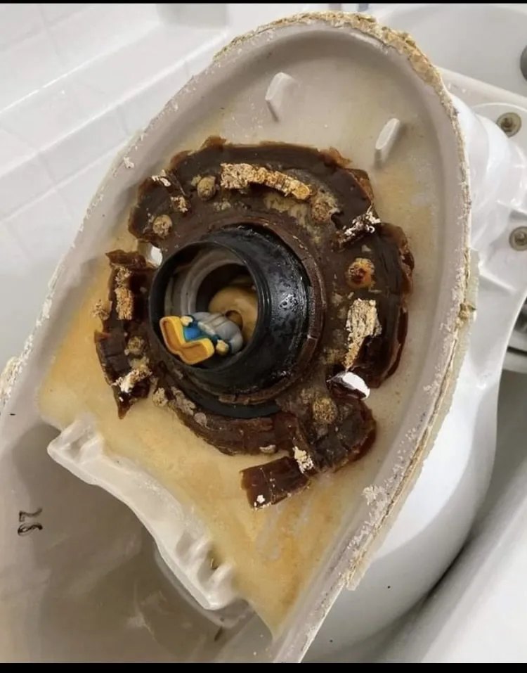 Slide of Norcal Rooter & Services