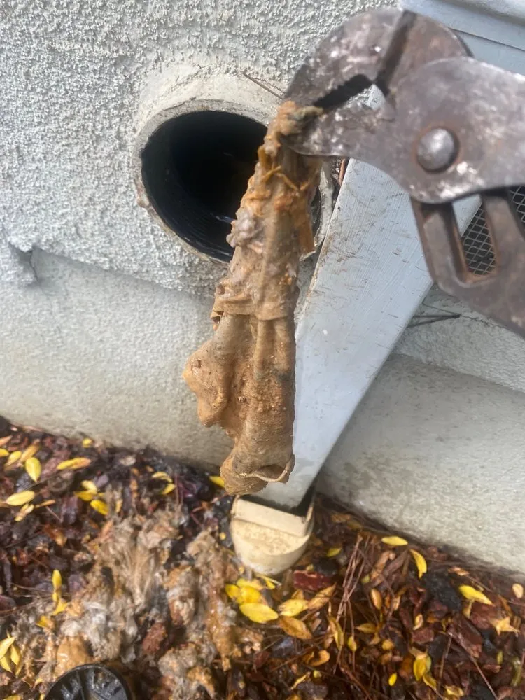 Slide of Norcal Rooter & Services