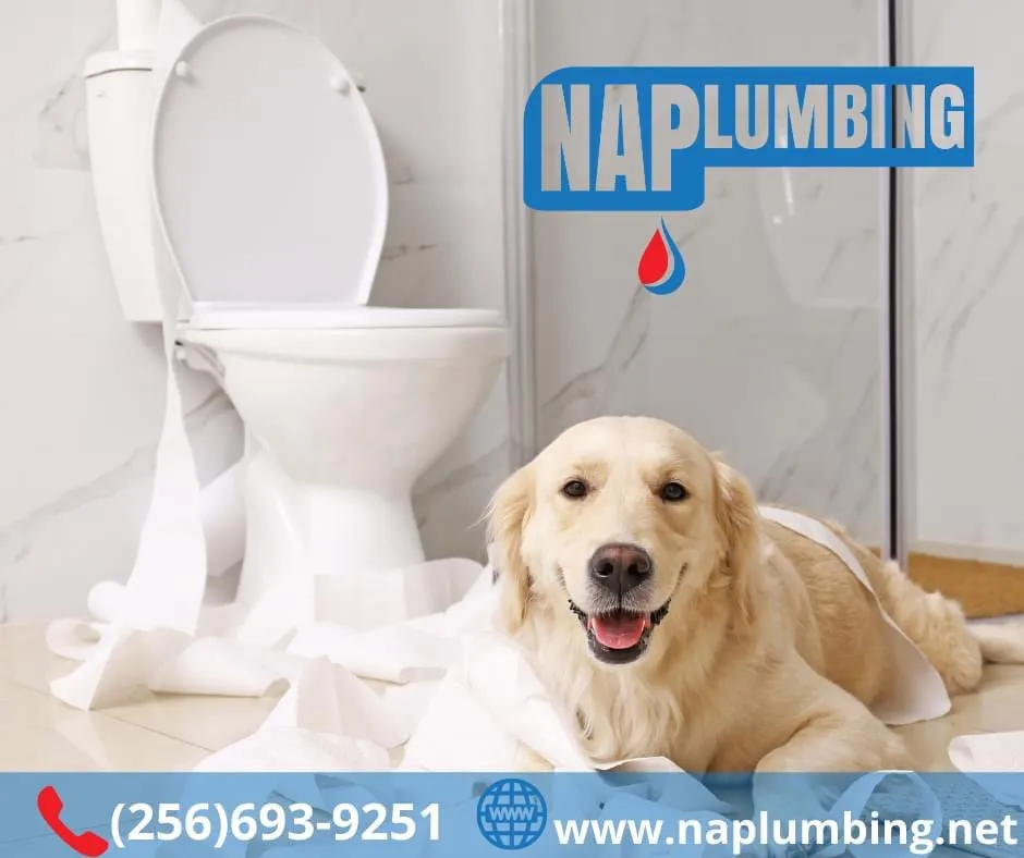 Slide of North American Plumbing