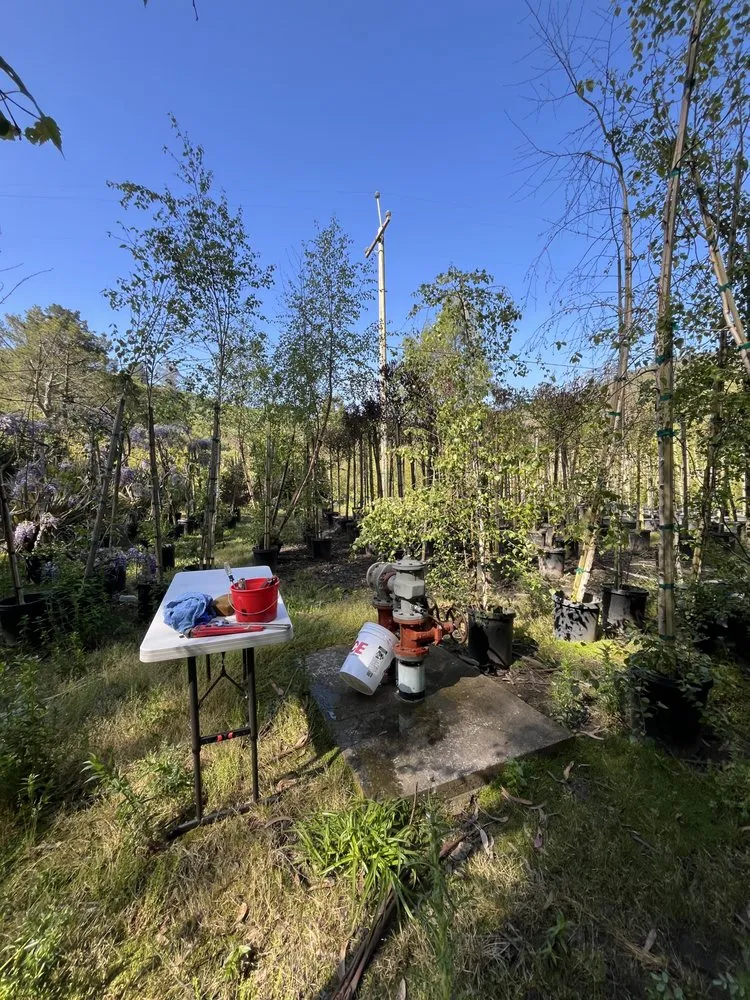 Slide of North Coast Backflow