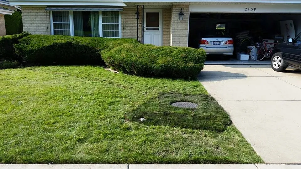 Emergency leak detection experts serving Morton Grove, IL - North Coast Plumbing Sewer & Drainage