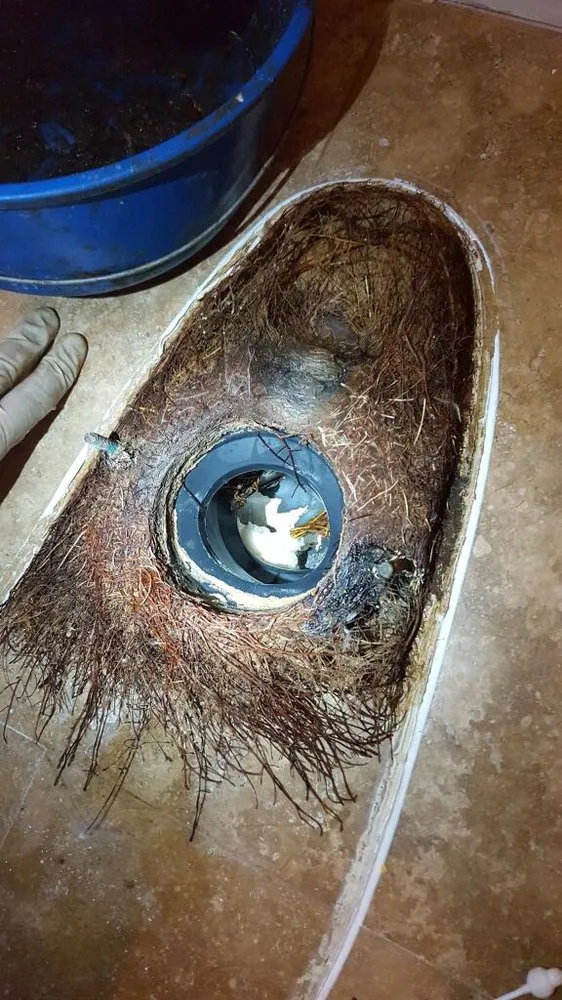 Slide of North County Drain Service