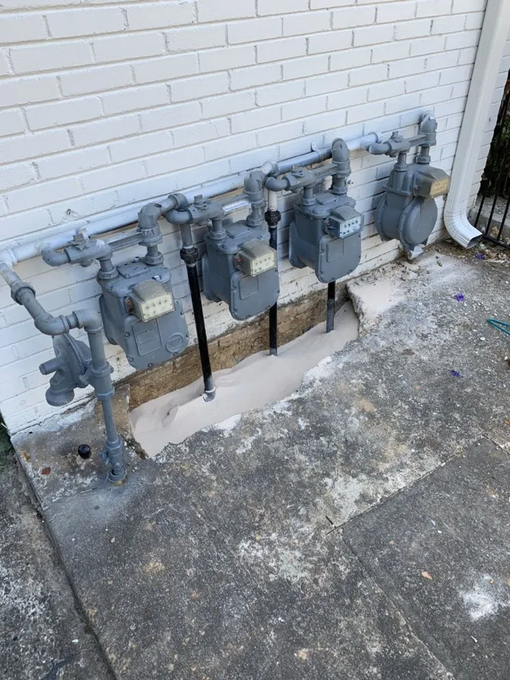 Slide of North Georgia Rooter