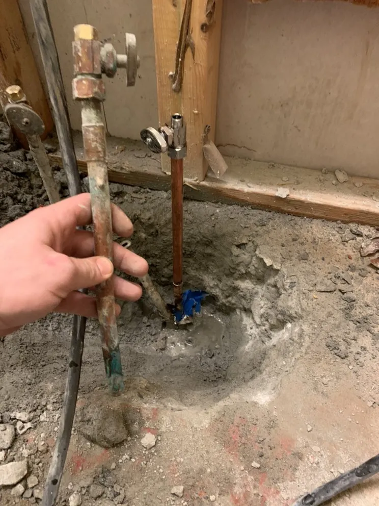 Slide of North Georgia Rooter