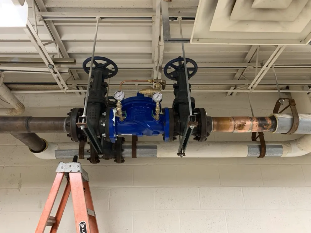 Slide of North Georgia Rooter