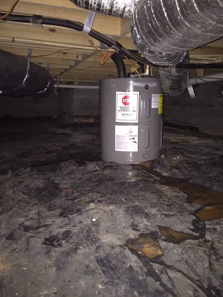 Slide of North Georgia Rooter