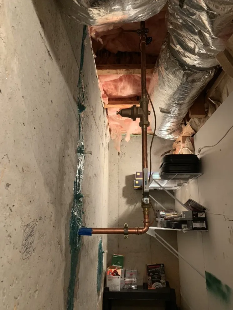 Slide of North Georgia Rooter