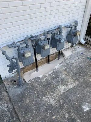 North Georgia Rooter Logo