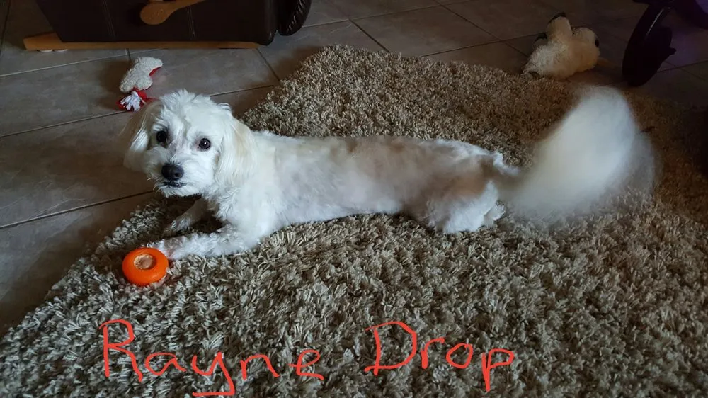 Slide of North Valley Water Solutions