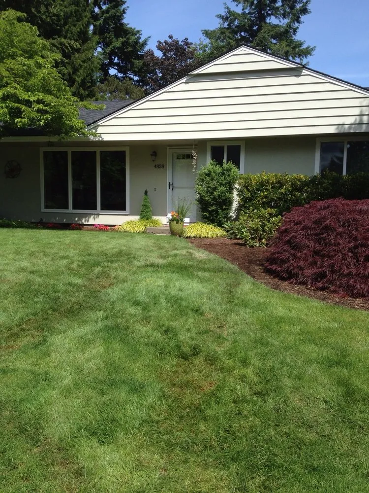 Slide of Northern Eagle Excavation