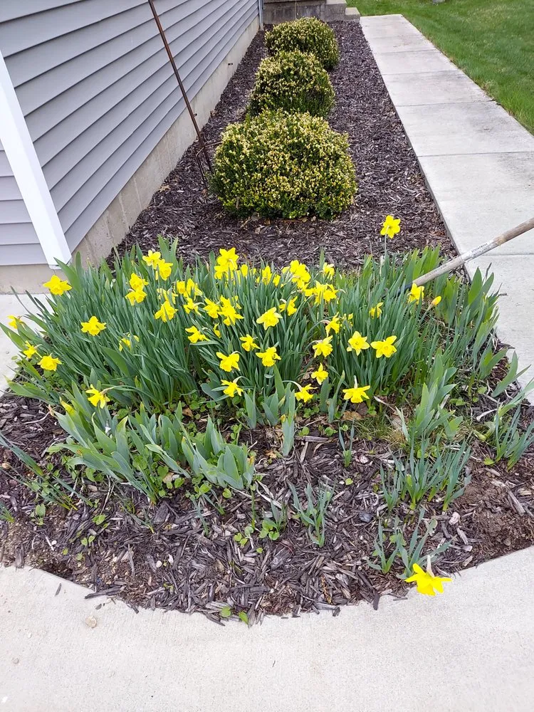 Slide of Northern Handyman Services