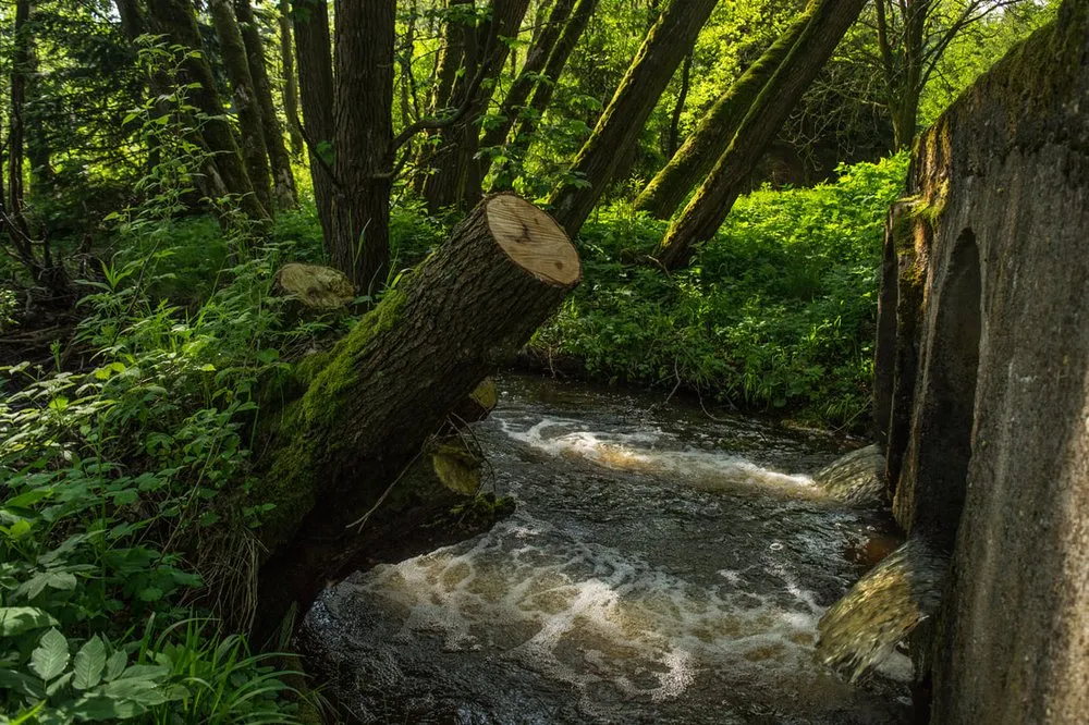 Slide of NorthStar Utility Services