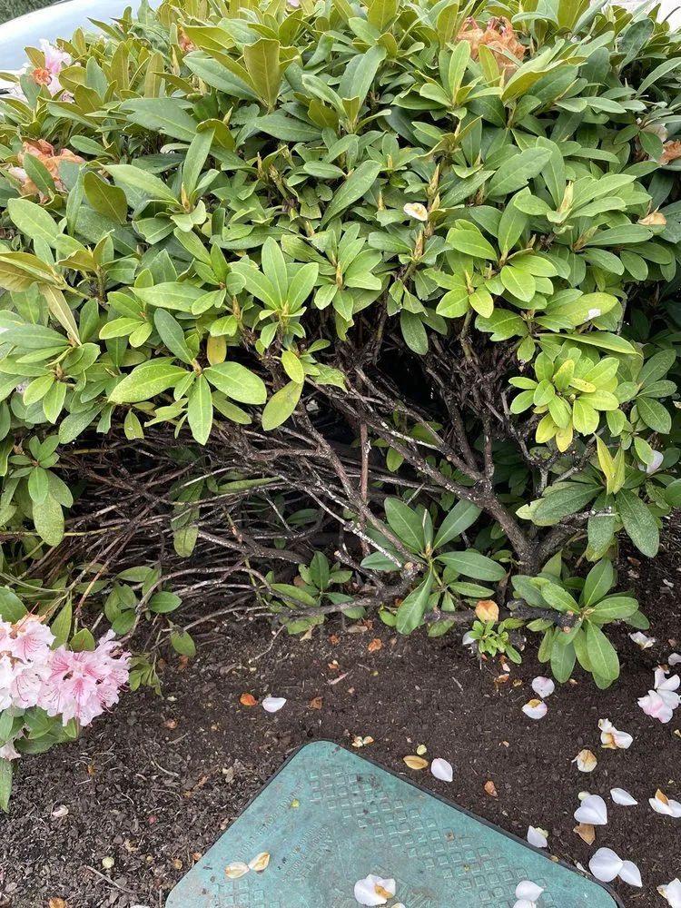 Slide of Northwest Backflow Inspection and Testing Services