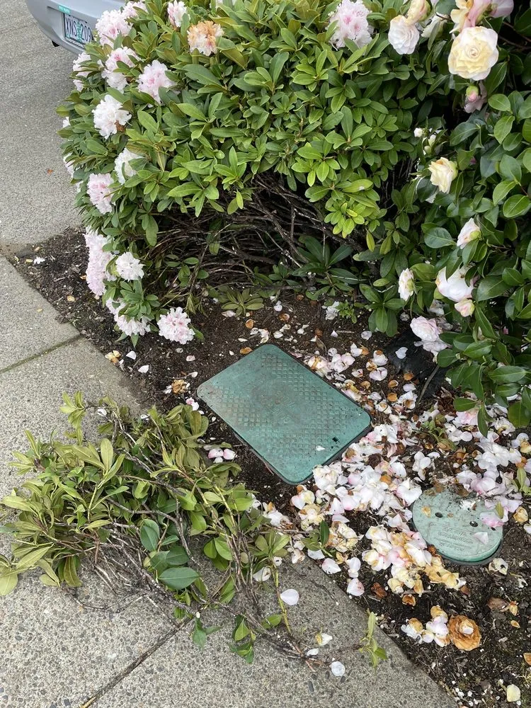 Slide of Northwest Backflow Inspection and Testing Services