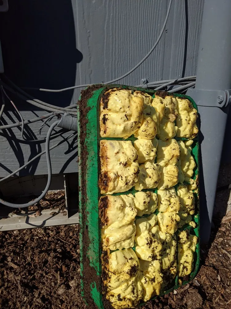 Quality pipe repair experts serving Hillsboro, OR - Northwest Backflow Inspection and Testing Services