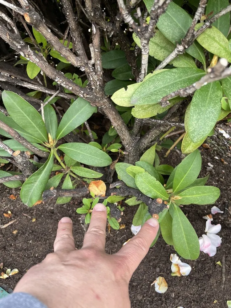 Trusted leak detection for homes in Hillsboro, OR by Northwest Backflow Inspection and Testing Services