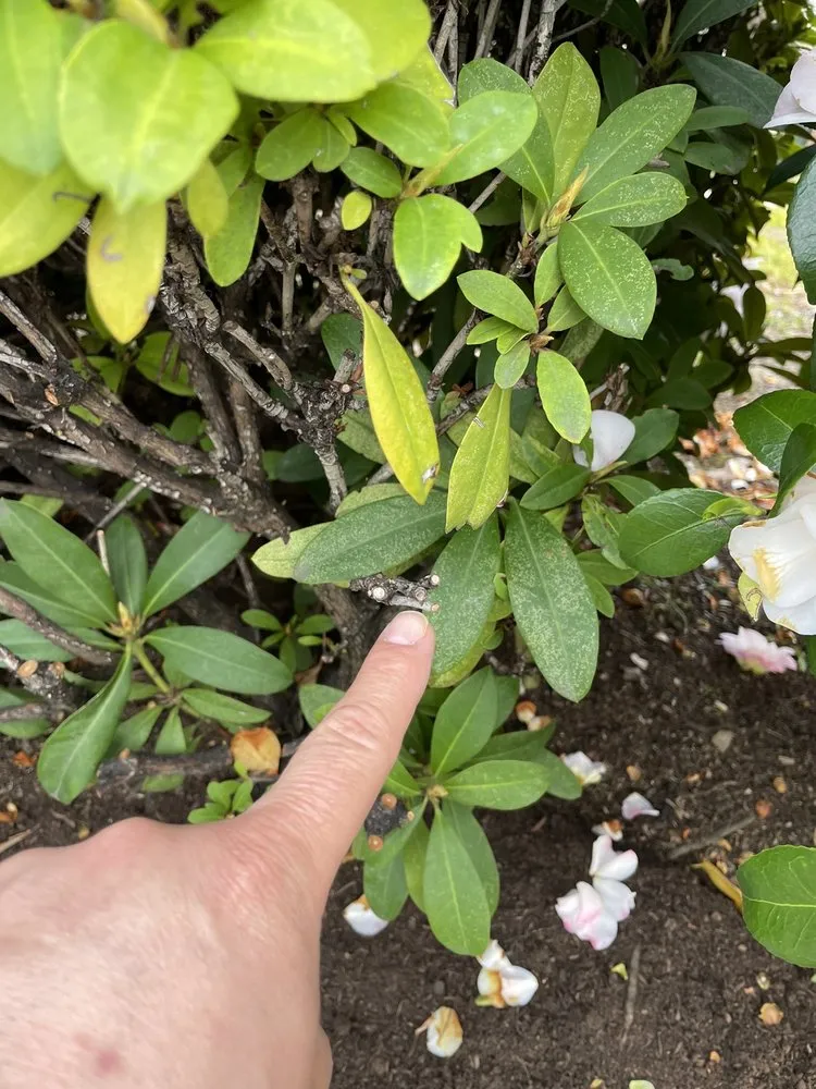 Top-rated emergency plumbing in Hillsboro, OR by Northwest Backflow Inspection and Testing Services