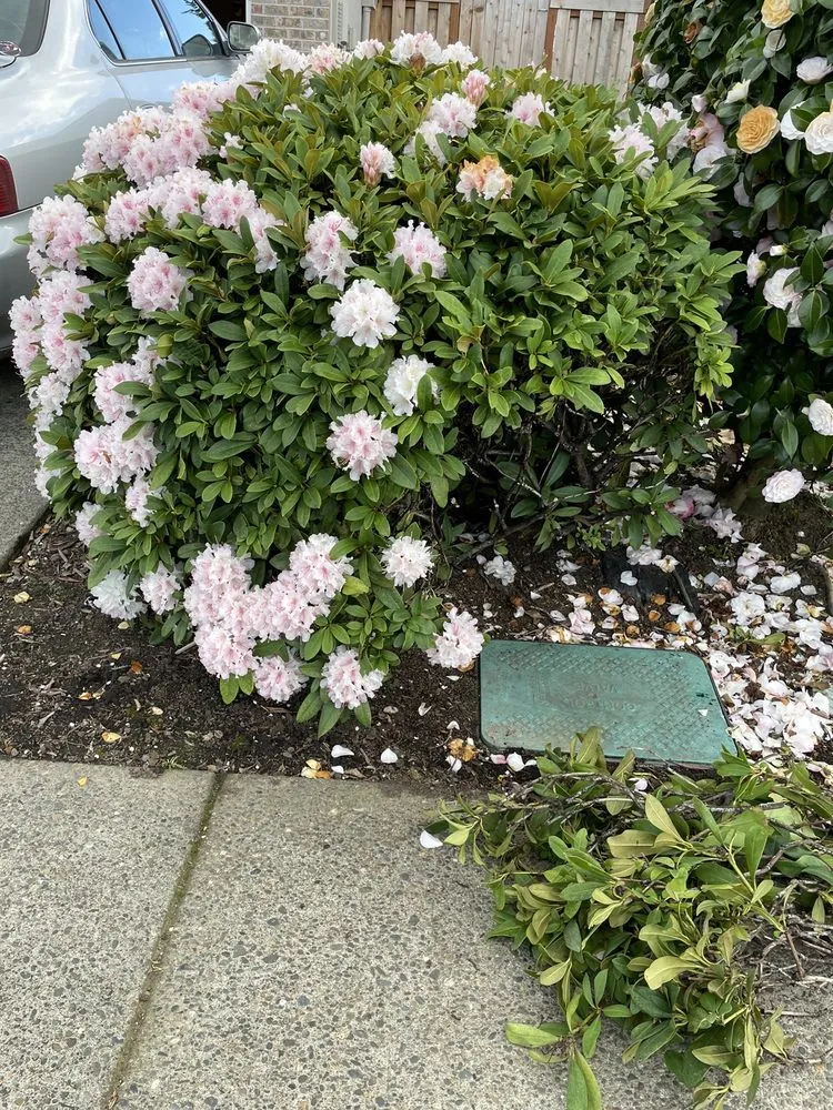 Quality water heater service for homes in Hillsboro, OR by Northwest Backflow Inspection and Testing Services