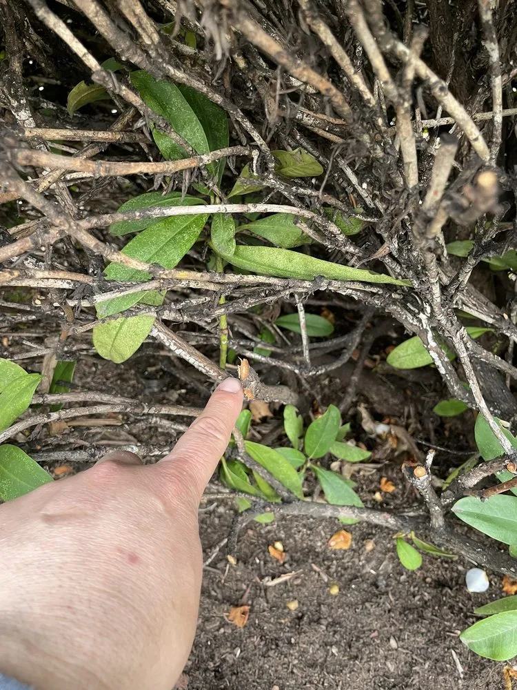 Slide of Northwest Backflow Inspection and Testing Services