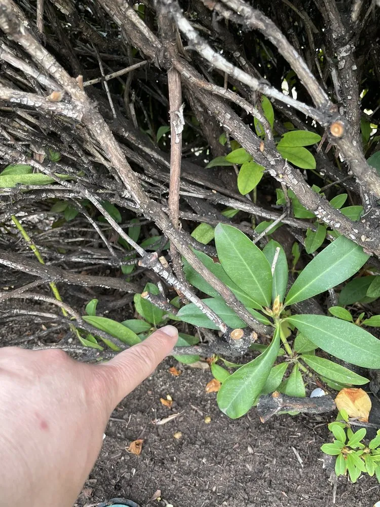 Slide of Northwest Backflow Inspection and Testing Services