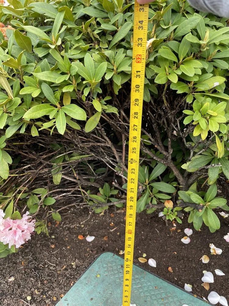 Slide of Northwest Backflow Inspection and Testing Services