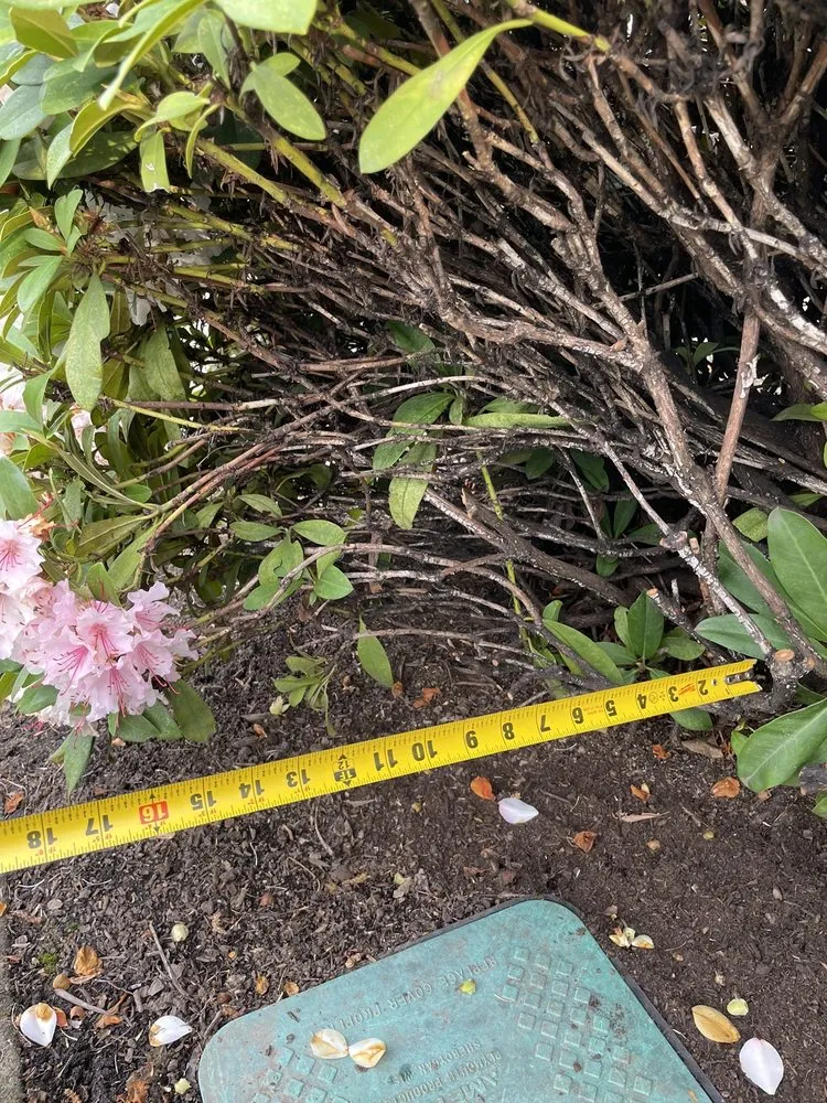 Slide of Northwest Backflow Inspection and Testing Services