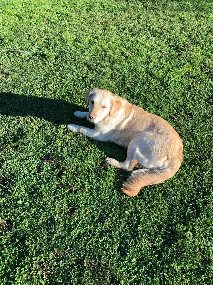 Slide of Northwest Drains