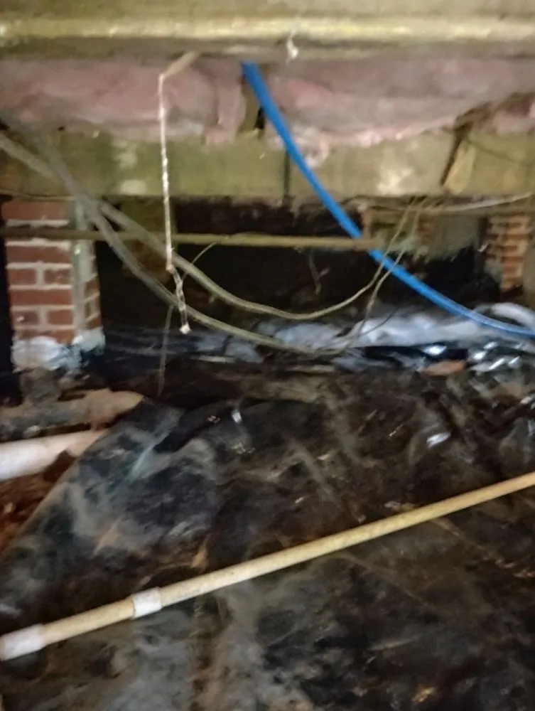 Slide of Not Again Plumbing