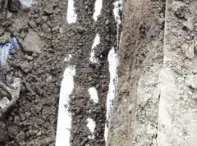 Slide of Nuckles & Son