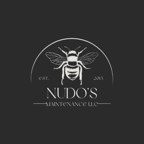 Slide of Nudo’s Maintenance