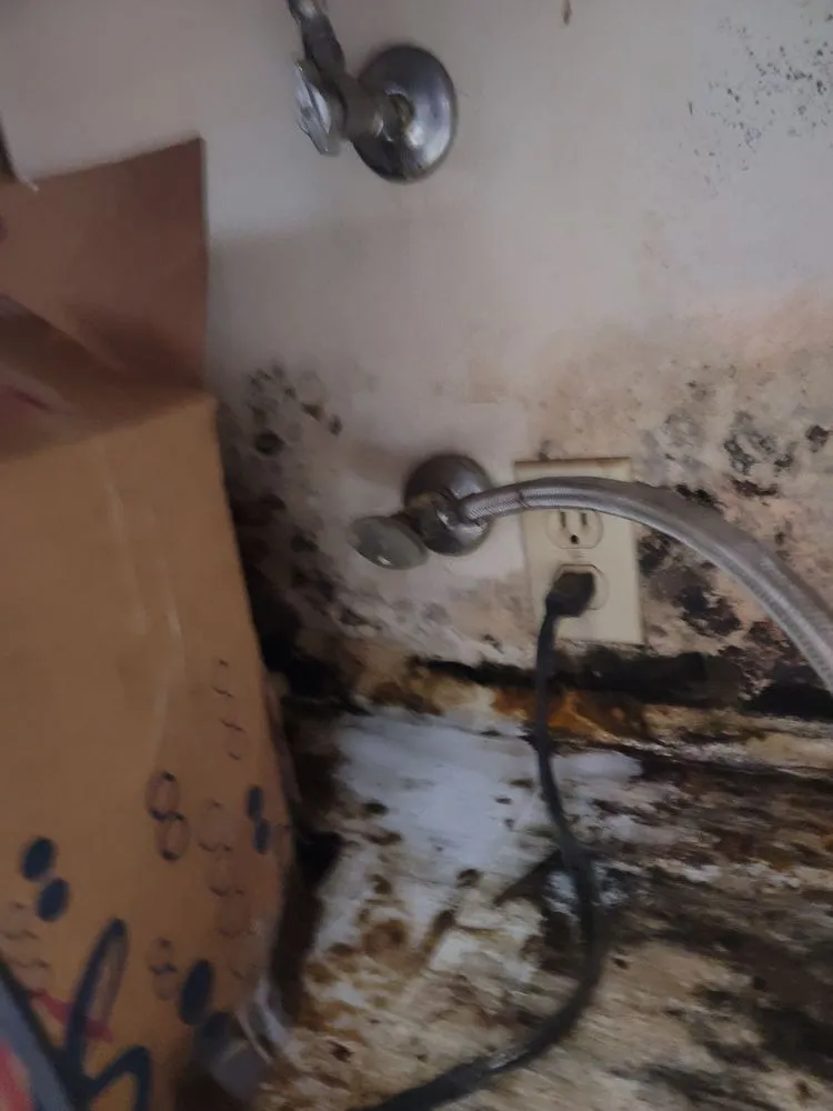 Top-rated emergency plumbing experts serving San Antonio, TX - Nunez Remodeling and Drywall Service