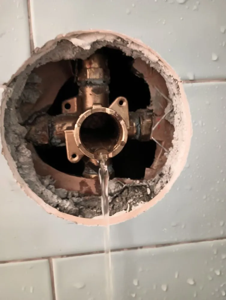 Slide of Nuvonii Plumbing