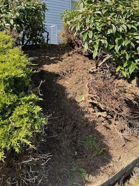 Slide of NW Sewer and Drain