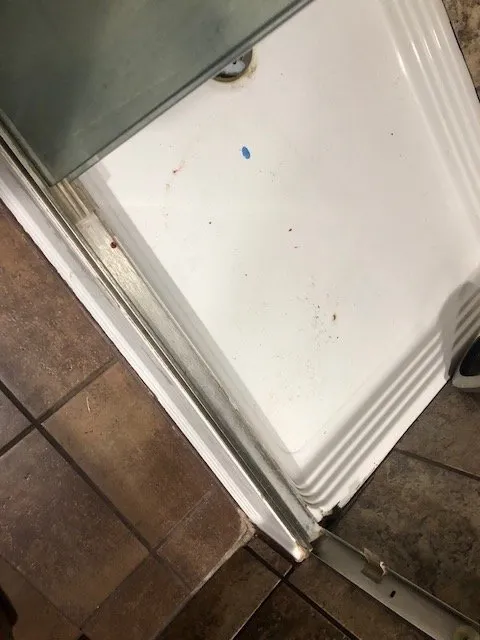 Top-rated drain cleaning in Clackamas, OR by NW Sundance Services